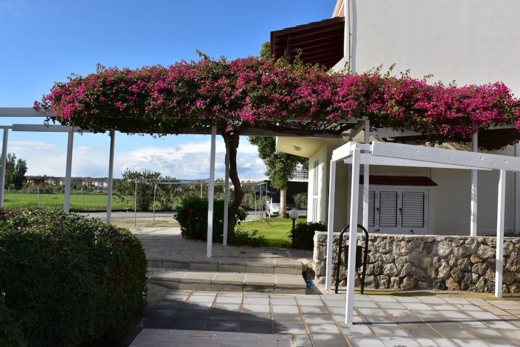 Villa Aqua Boghaz Exteriör bild